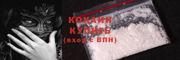 гашик Осинники