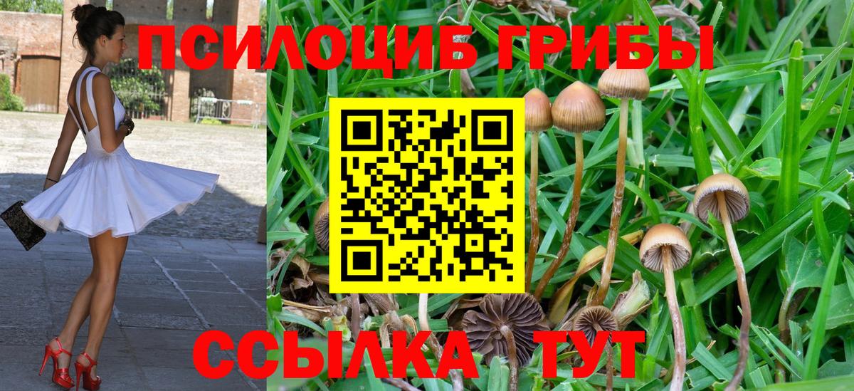 Белебей  Псилоцибиновые грибы Psilocybine cubensis  Вход с VPN 