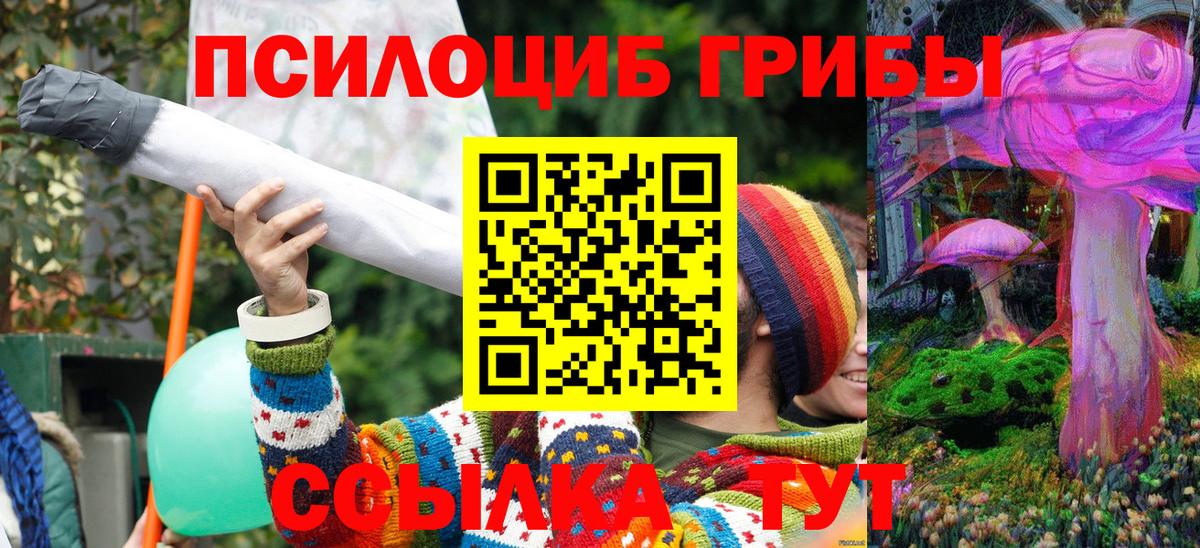 Галлюциногенные грибы Psilocybe  Белебей  Псилоцибиновые грибы Magic Shrooms 